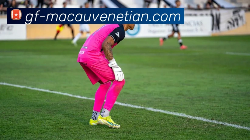 威尼斯人线上娱乐平台生态图