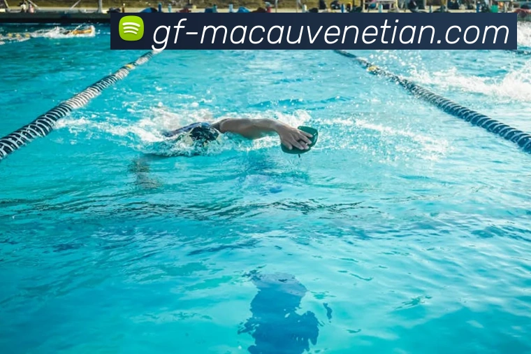 威尼斯人线上娱乐APP 封面图